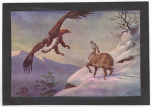 Vintage wildlife print circa 1900-1930s